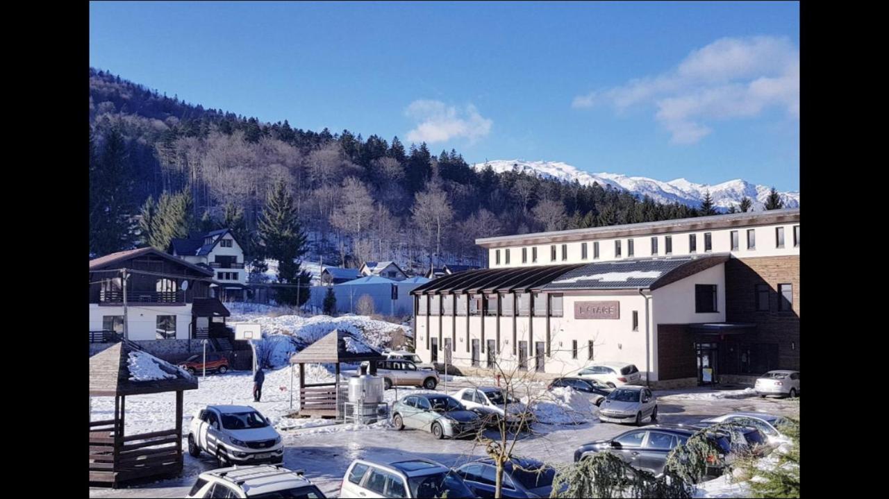 Purple * Sinaia
